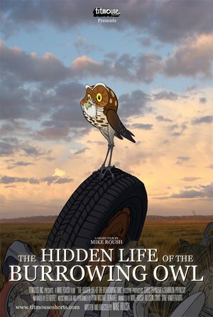 Смотреть The Hidden Life of the Burrowing Owl (2008) онлайн в HD качестве 720p